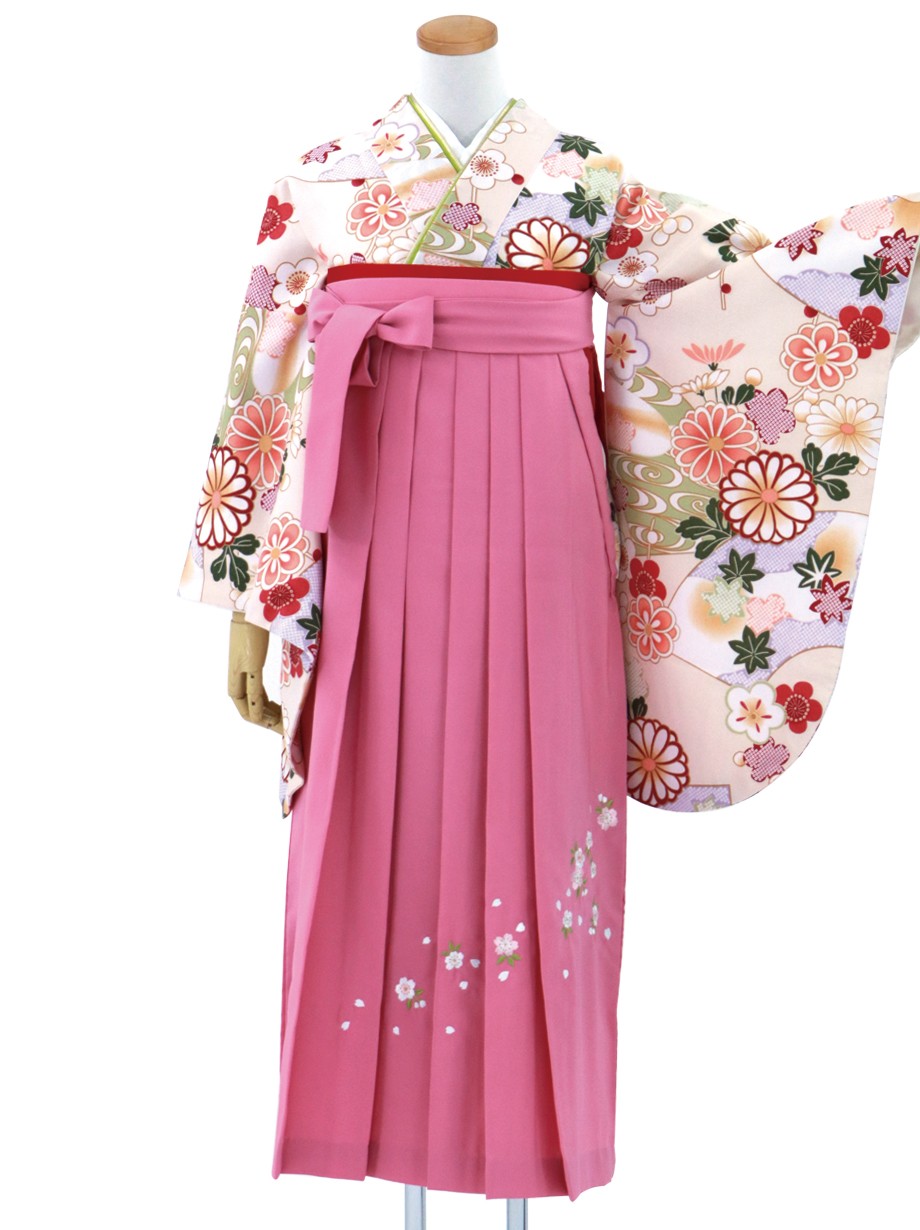ベージュ地に地紙に菊・ピンク袴（二尺袖）