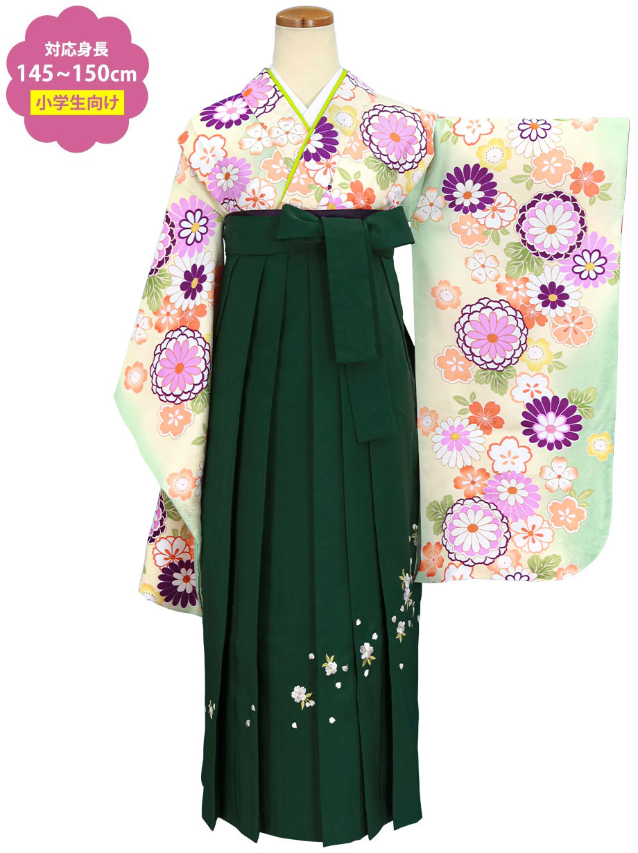 アイボリー地に菊と桜・ピンク袴