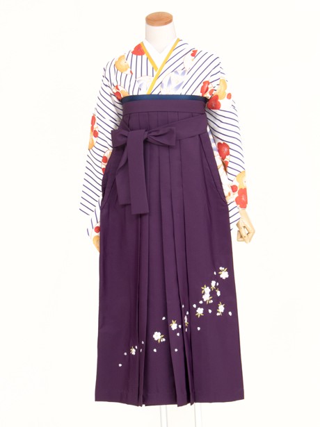 白地に紺のななめ縞に梅と椿の丸紋・紫袴（二尺袖）／卒業式