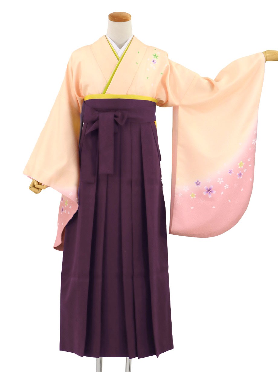 ピンクベージュ地に桜・紫袴（無地）（二尺袖）／卒業式（オリジナルデザイン）