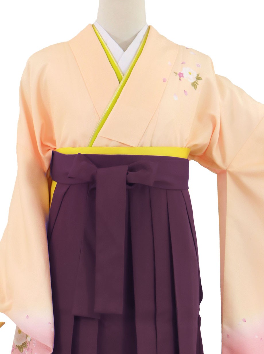 卒業袴 紫 花刺繍入り グラデーション 鮮やかな紫色+ashabhai.com.fj