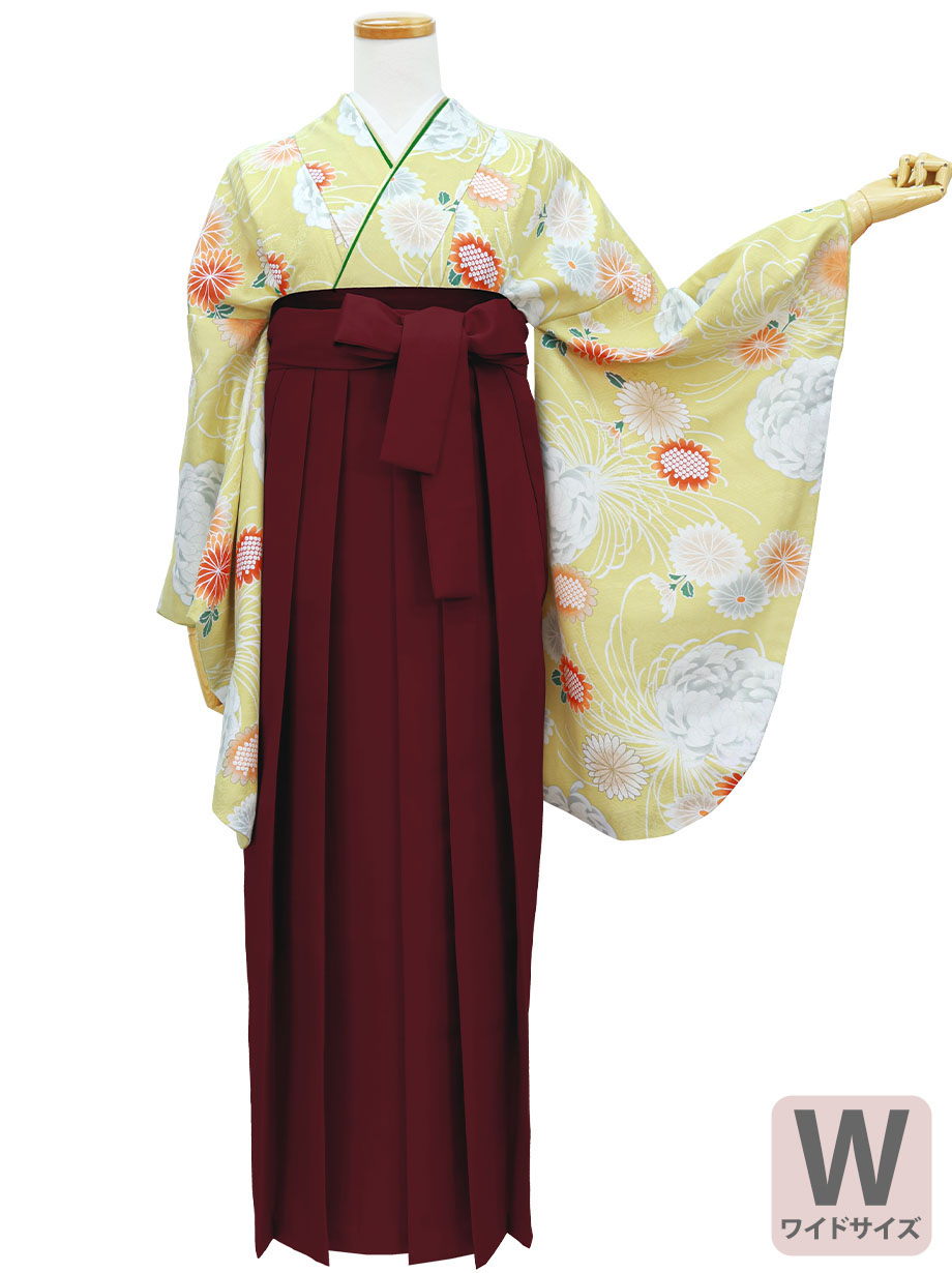黄色地に菊尽くし、臙脂袴（無地）（二尺袖）ワイドサイズ／卒業式