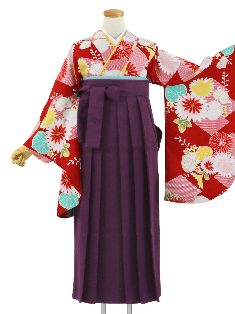 赤地に菊と葵、紫袴（無地）（二尺袖）ワイドサイズ／卒業式