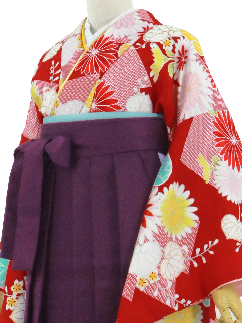 赤地に菊と葵、紫袴（無地）（二尺袖）ワイドサイズ／卒業式