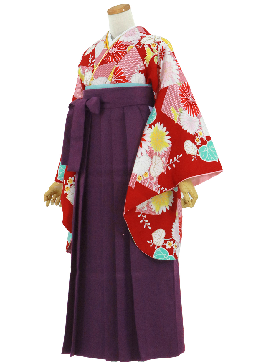 赤地に菊と葵、紫袴（無地）（二尺袖）ワイドサイズ／卒業式
