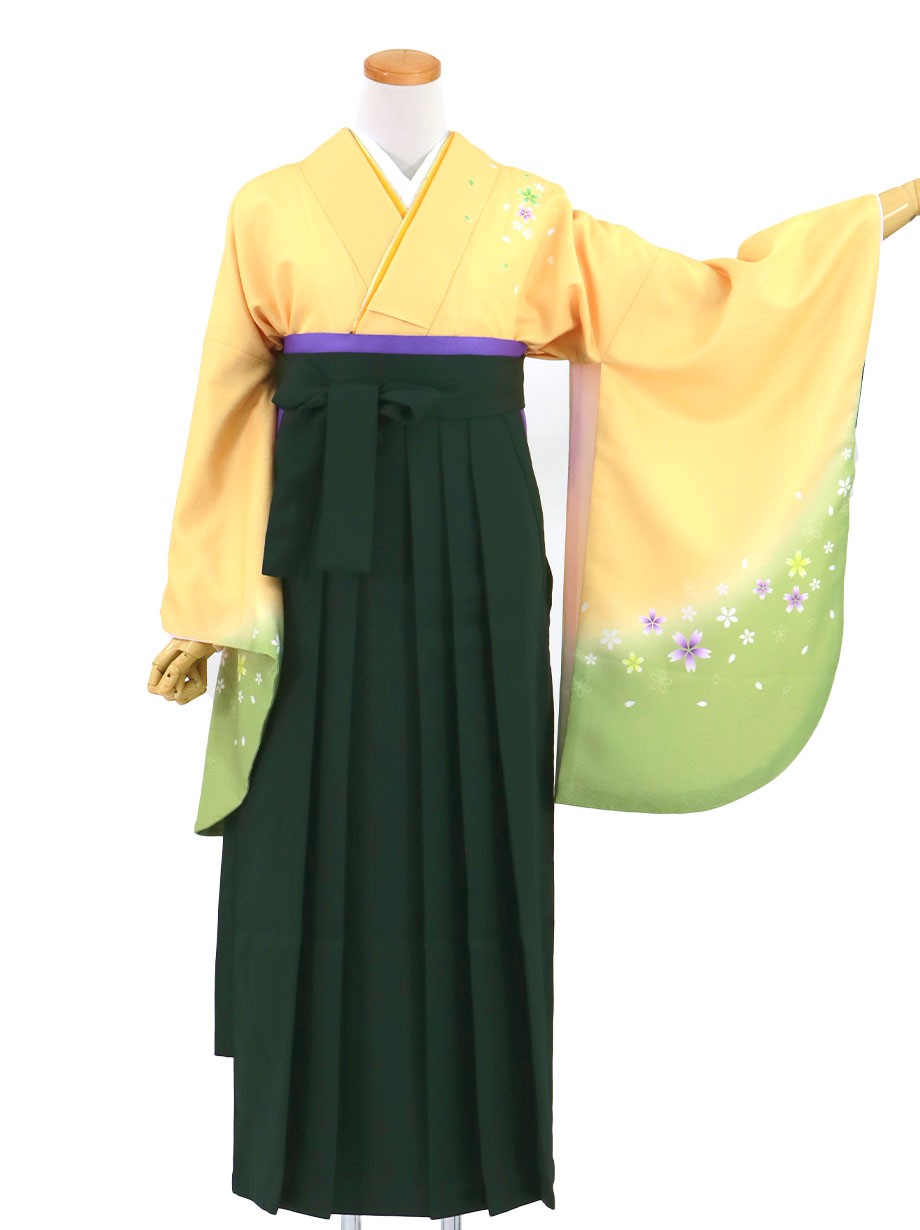黄色と鶸（ひわ）色地に桜・深緑袴（無地）（二尺袖）／卒業式（オリジナルデザイン）