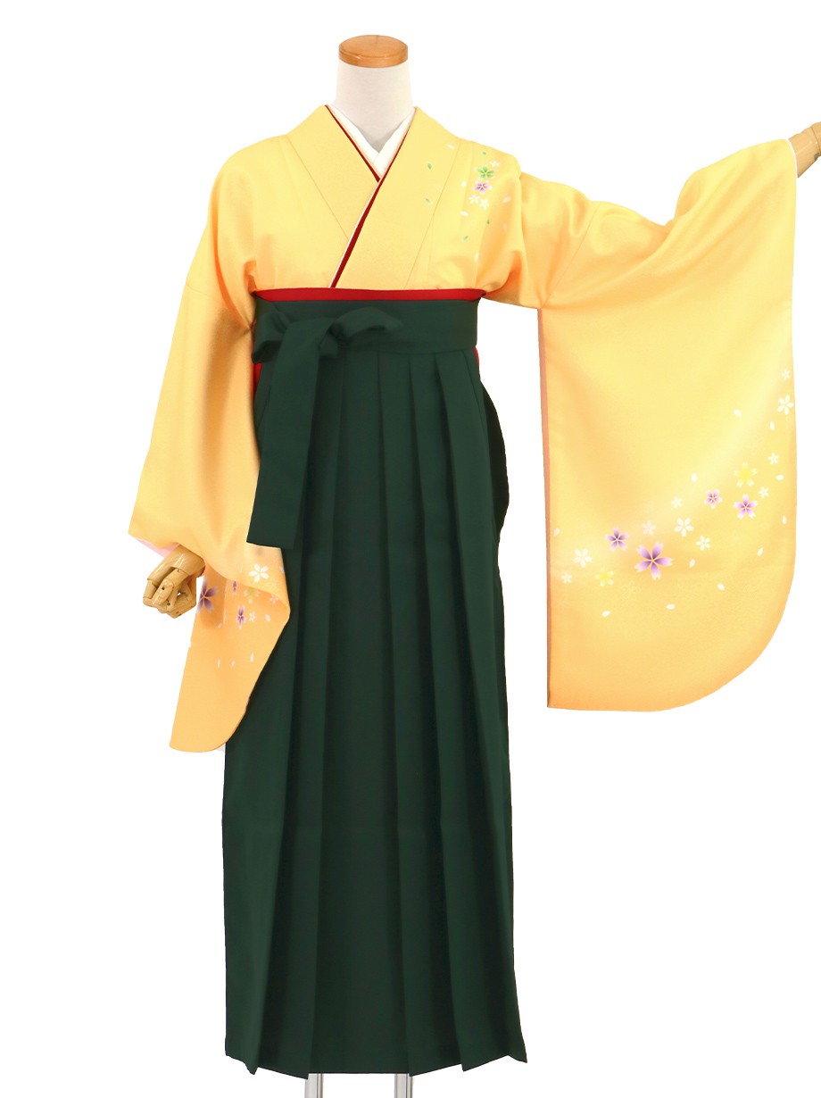 黄色地に桜・深緑袴（無地）（二尺袖）／卒業式（オリジナルデザイン）