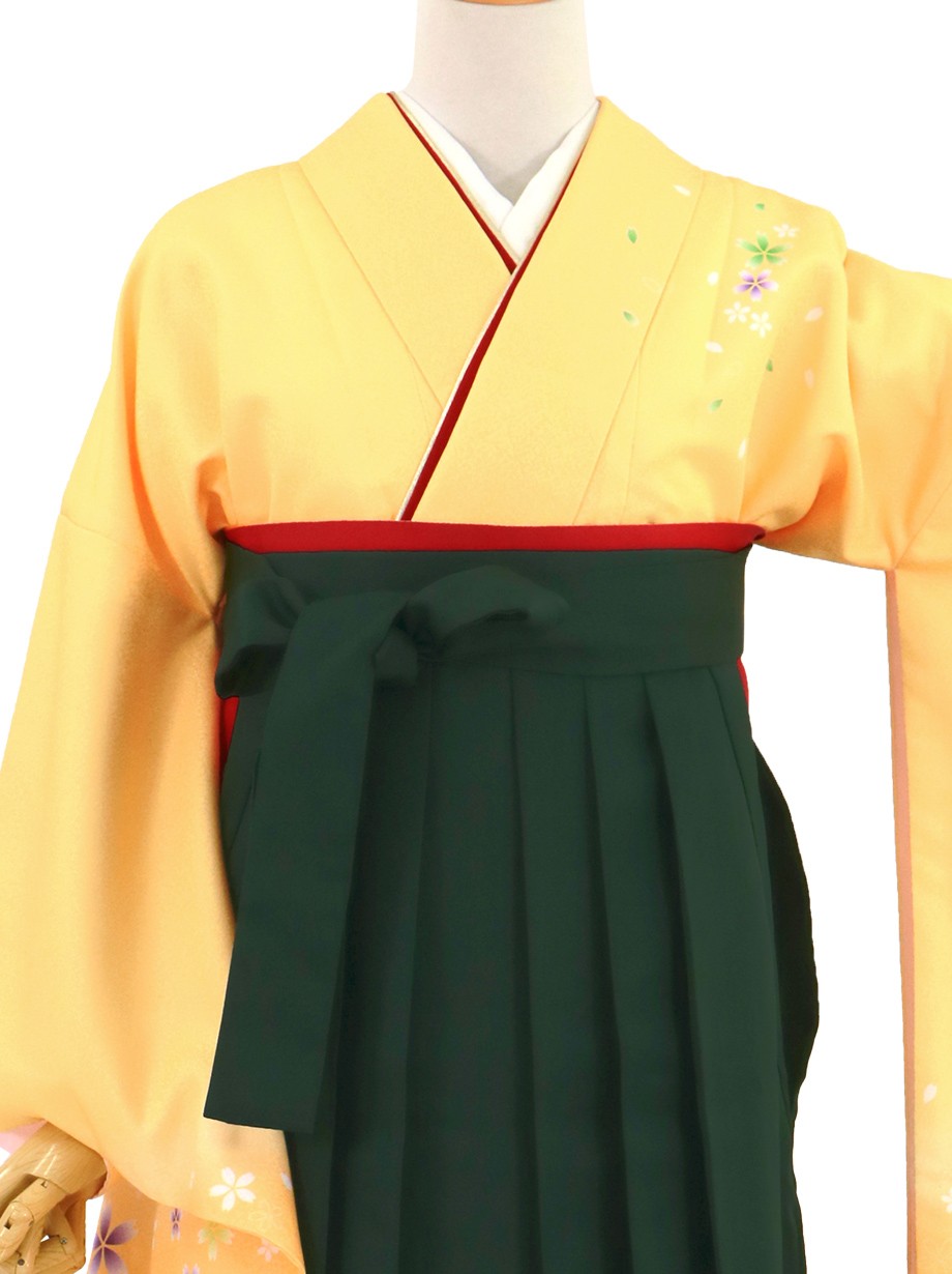 黄色地に桜・深緑袴（無地）（二尺袖）／卒業式（オリジナルデザイン）