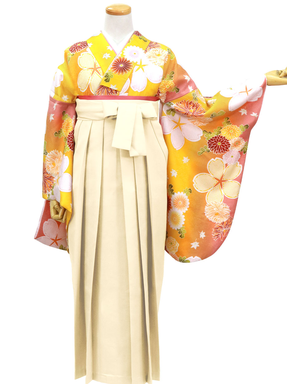 【2022新作】黄色地に桜と菊・アイボリー袴（無地）（二尺袖）／卒業式