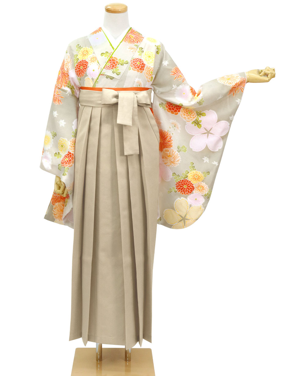 白花色に菊と疋田桜・グレージュ袴（無地） （二尺袖）／卒業式
