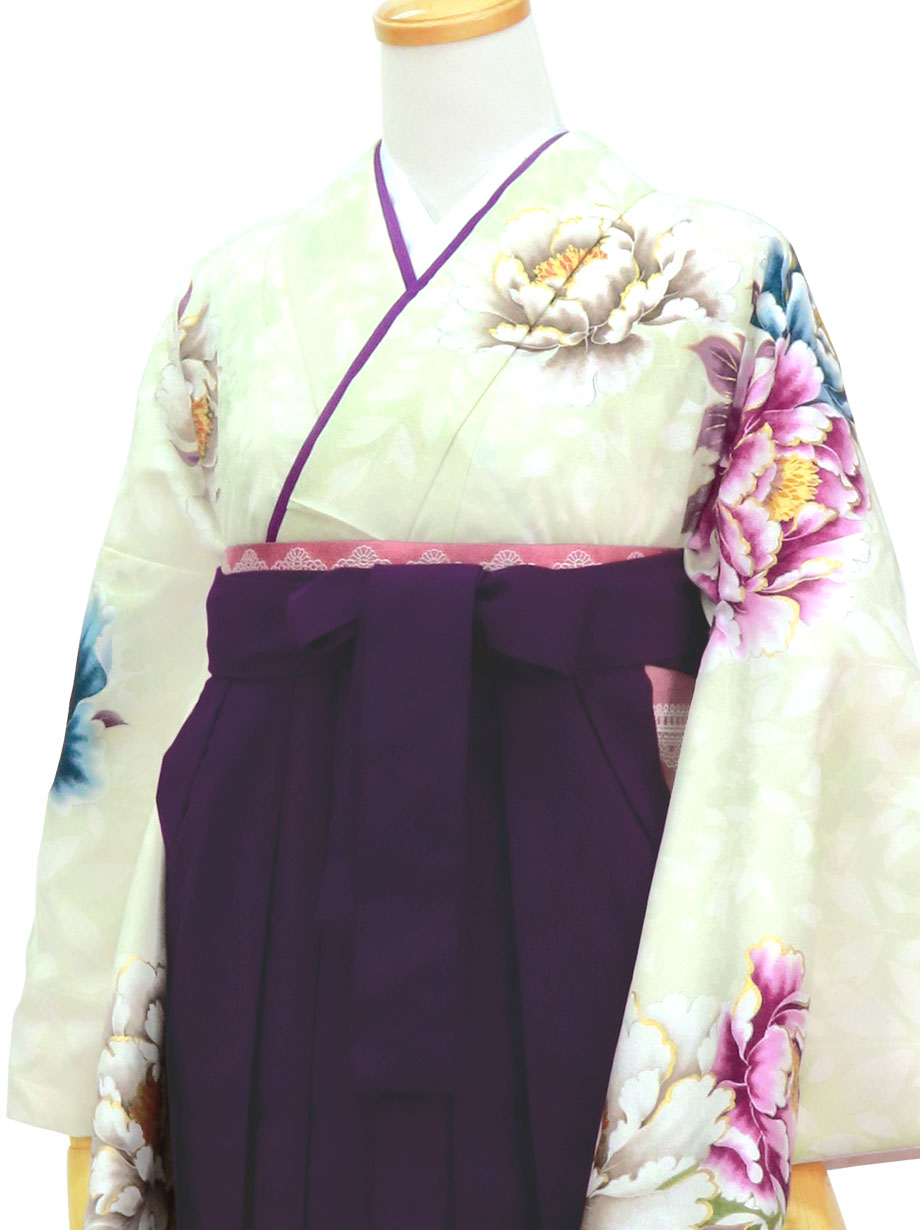 淡黄緑色に大輪の牡丹・紫袴（無地）（二尺袖）／卒業式