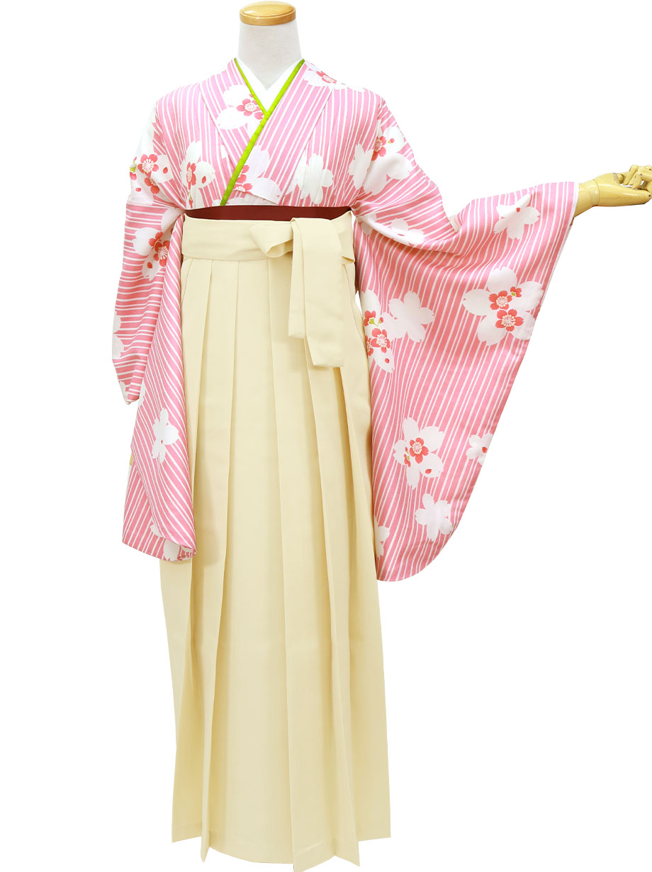 【人気セット】ピンク地に縞と桜・アイボリー袴（無地）（二尺袖）／卒業式