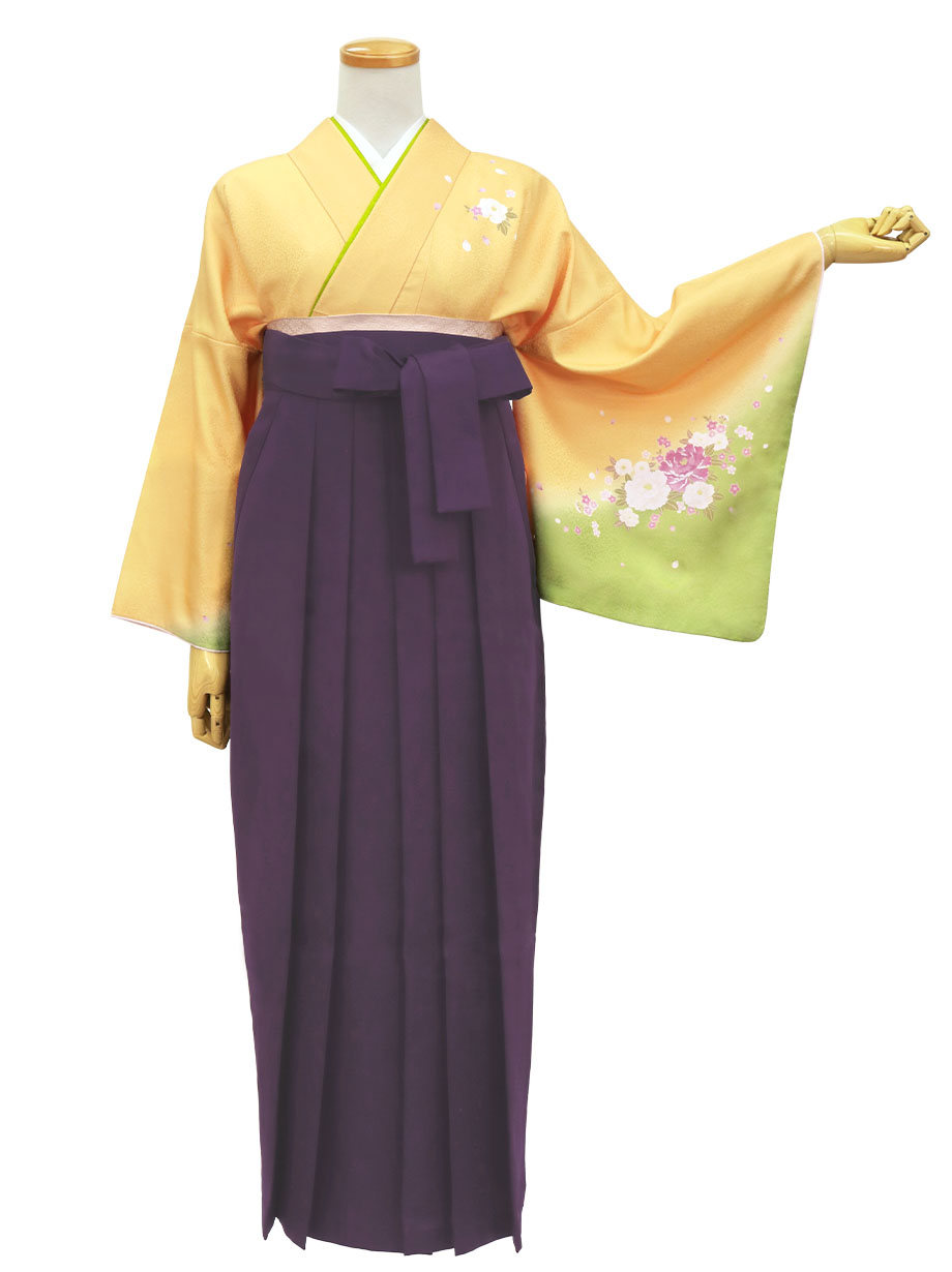 黄色と鶸（ひわ）色地に牡丹・紫袴（無地） （小袖）／卒業式