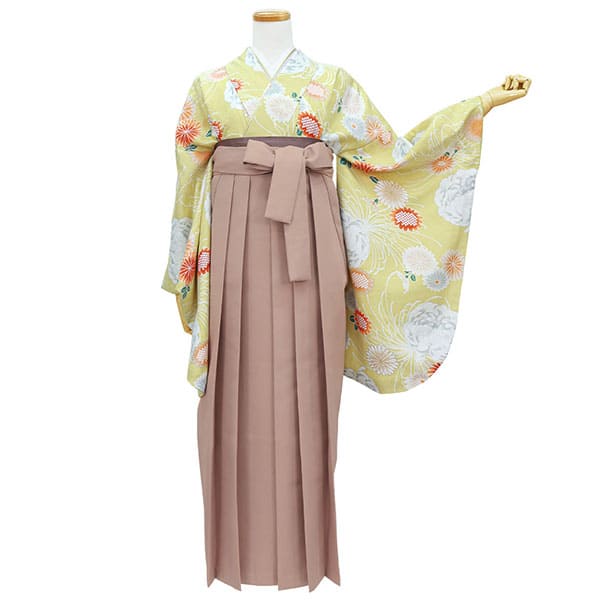 黄色地に菊尽くし・モカ袴（無地） （二尺袖）／卒業式