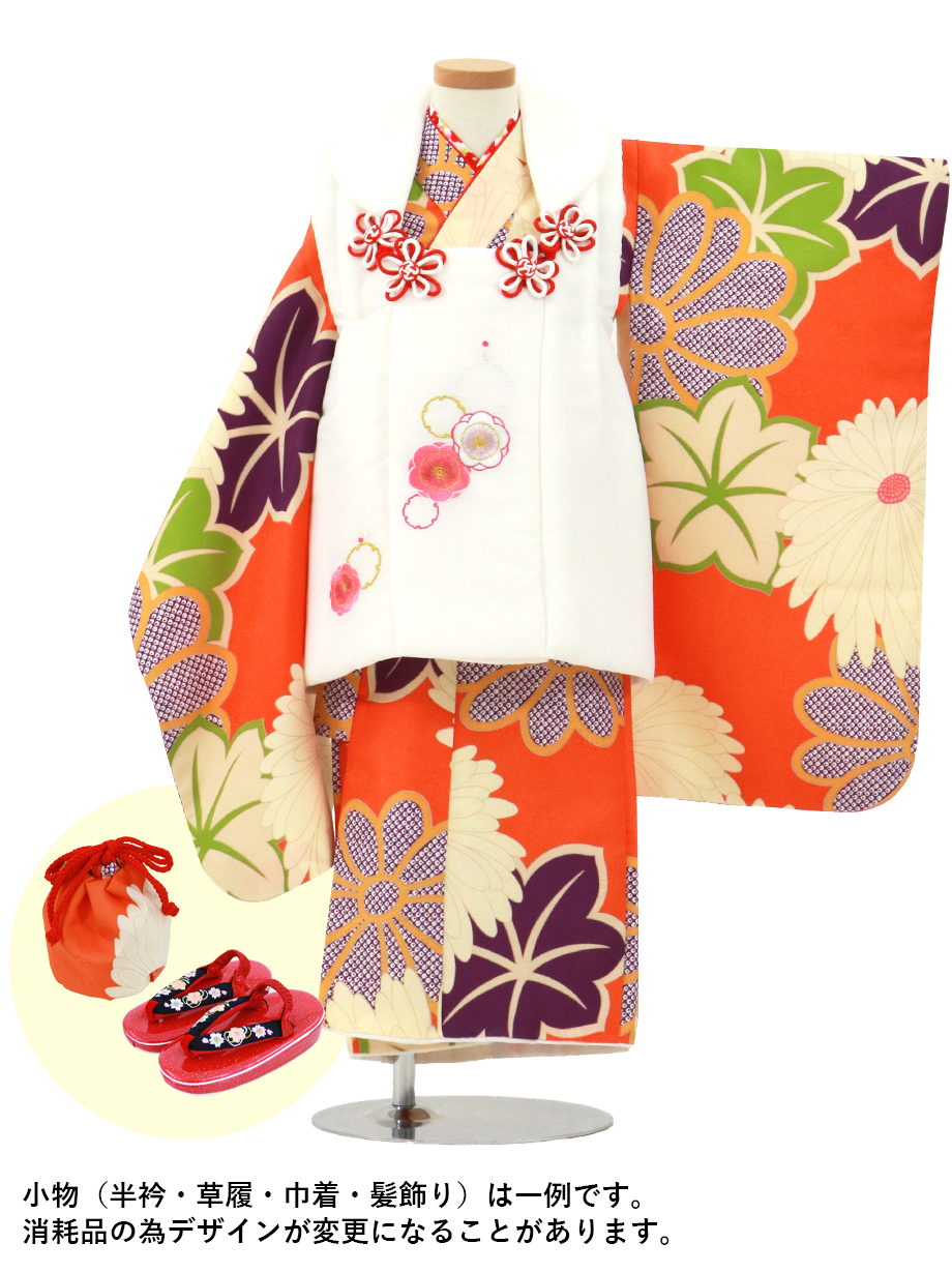 手描き風橙色に菊と紅葉の着物 白の被布コートセット 七五三 三