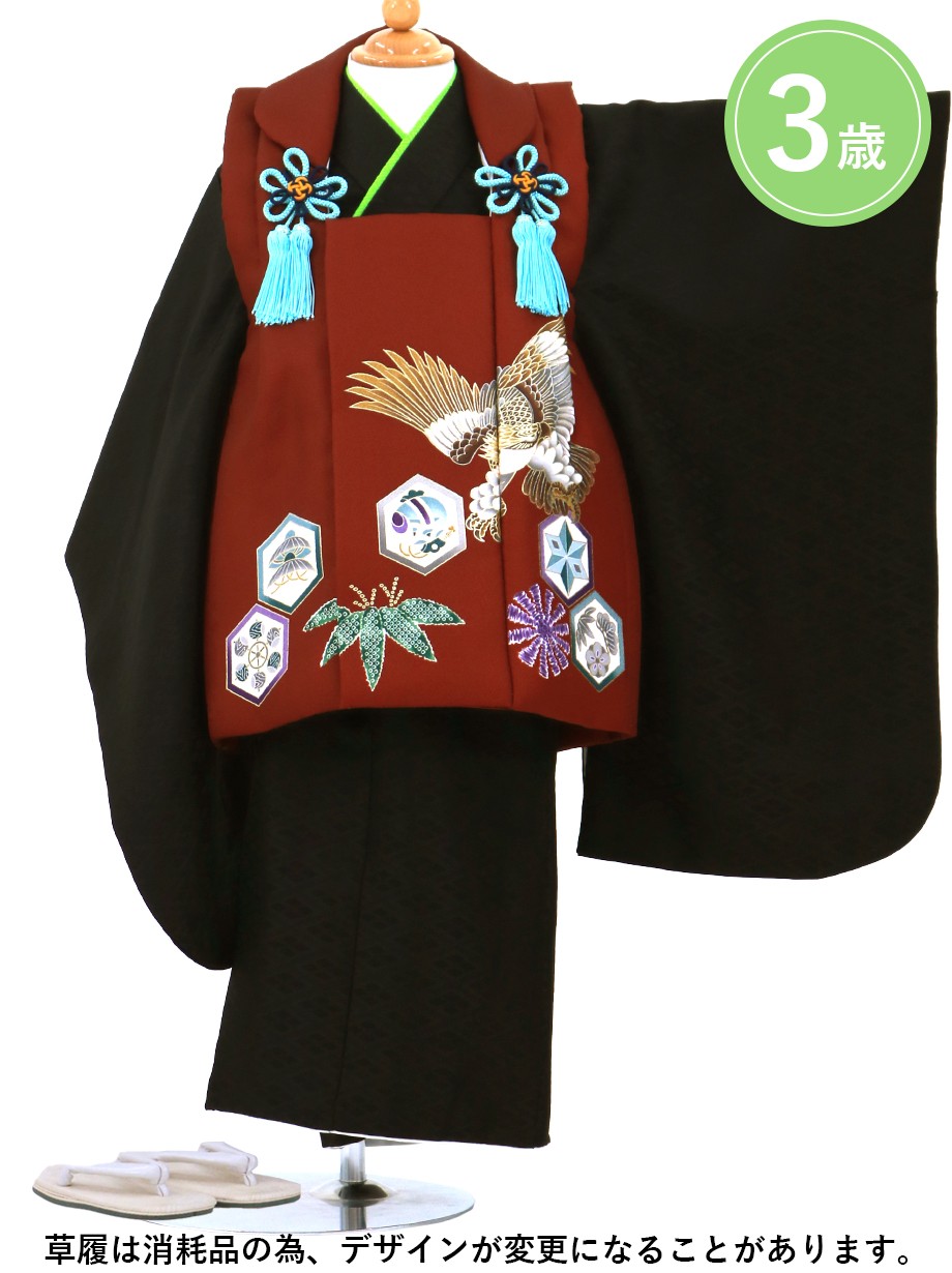 鷹と六角紋のエンジの被布コート・黒の着物セット